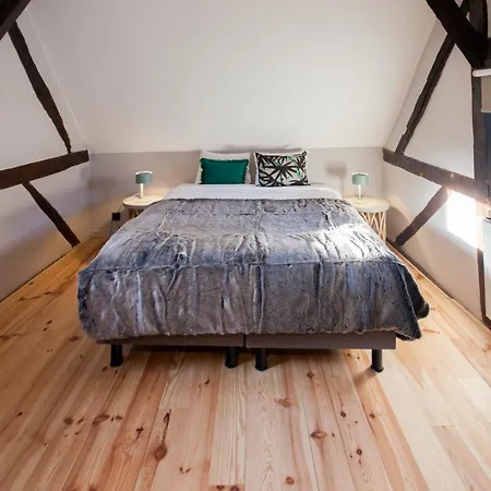 Smartflats - Vieille Apartment Liege